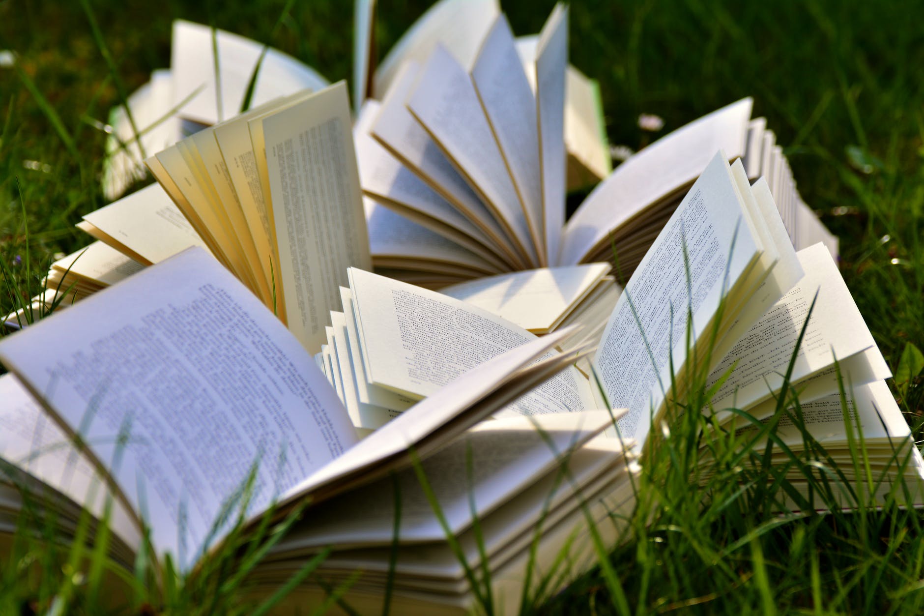 25 Middle-Grade Books Everyone Should Read