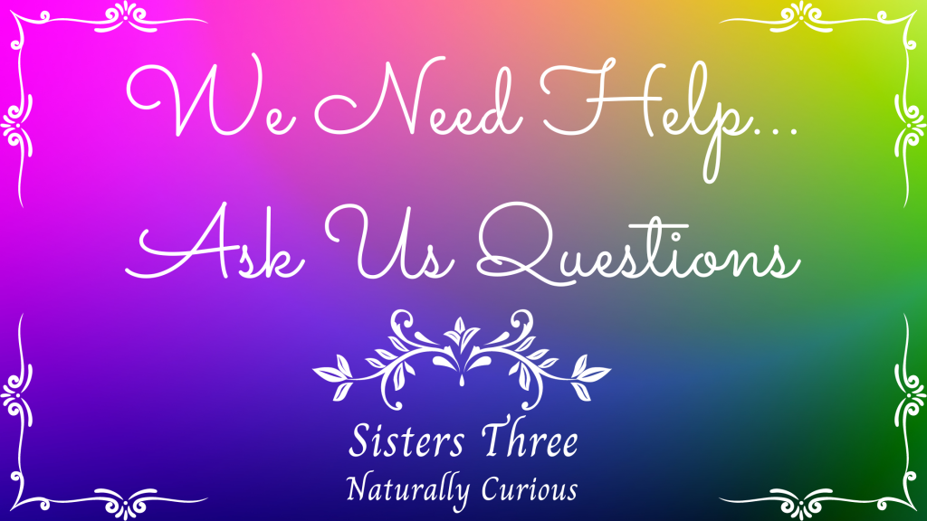 We Need Help/Ask Us&nbsp;Questions