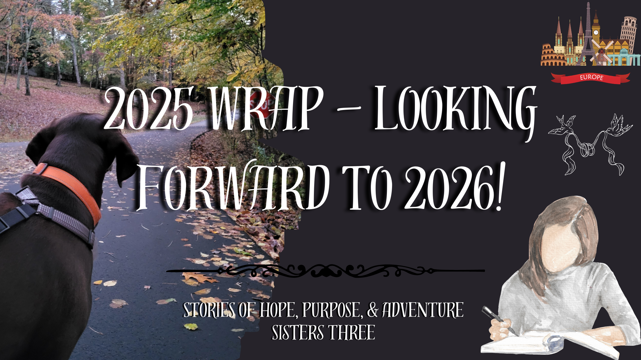 2025 Wrap – Looking Forward to 2026!